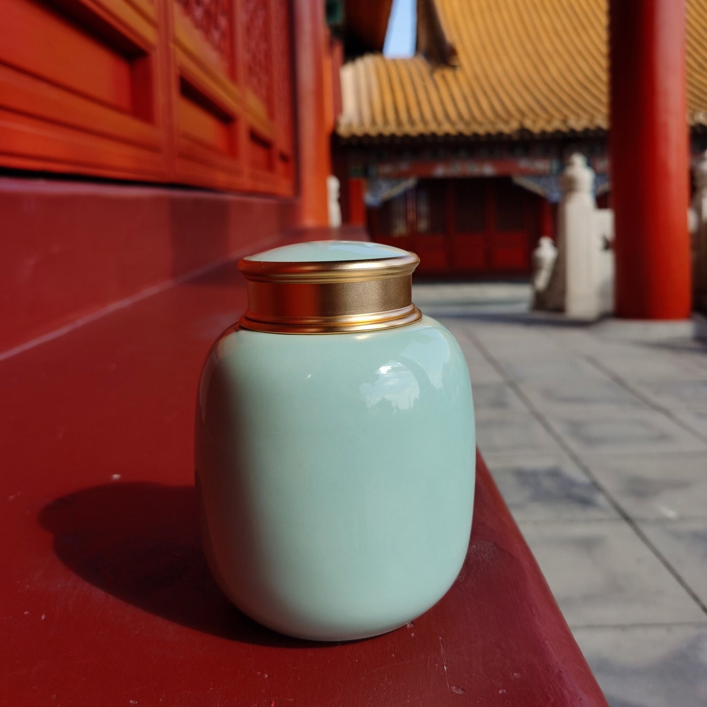 Urns for human ashes |Pet Urn|Cremation Urn |Cat Urn |Small Dog Urn|Small Animals Urns Up To 40 Pounds(Sky Blue,700ML,45cu/in)