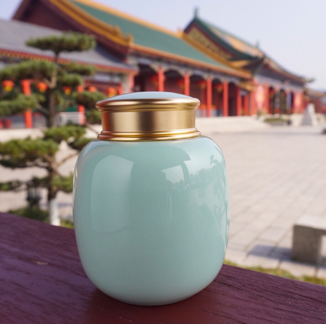 Urns for human ashes |Pet Urn|Cremation Urn |Cat Urn |Small Dog Urn|Small Animals Urns Up To 40 Pounds(Sky Blue，700ML，45cu/in）