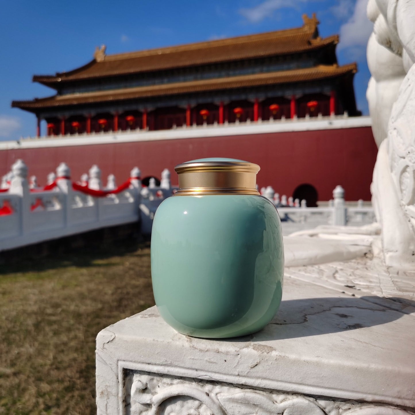 Urns for human ashes |Pet Urn|Cremation Urn |Cat Urn |Small Dog Urn|Small Animals Urns Up To 40 Pounds(Sky Blue，700ML，45cu/in）