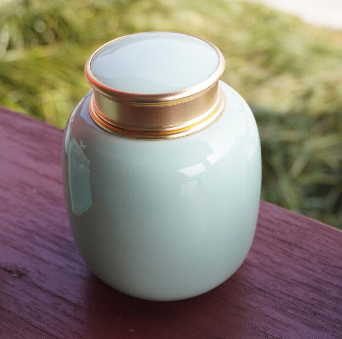 Urns for human ashes |Pet Urn|Cremation Urn |Cat Urn |Small Dog Urn|Small Animals Urns Up To 40 Pounds(Sky Blue，700ML，45cu/in）