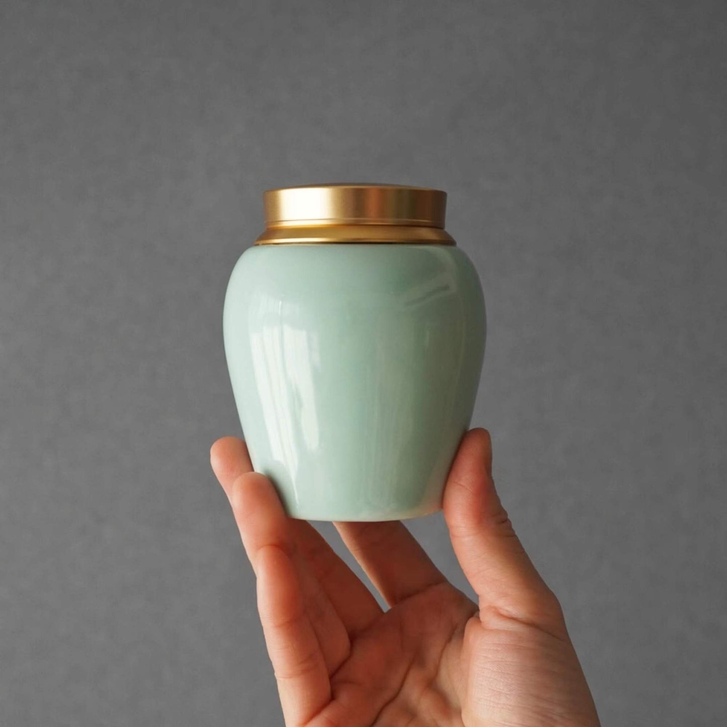 Custom  Pet Memory Urn ，Small Urn for Human，Cat ，Dog ，Modern Simple Cremation Keepsake  Up To 6Pound (8cu/in )