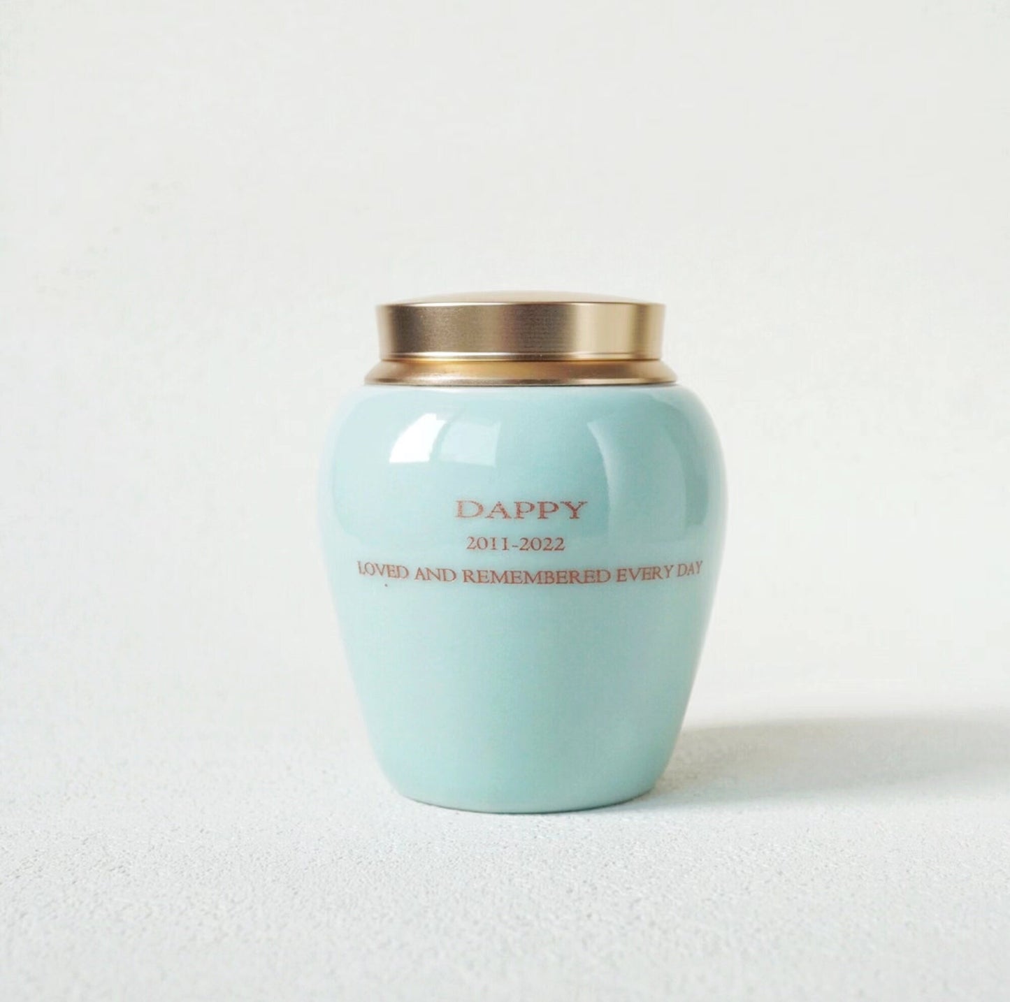 Custom  Pet Memory Urn ，Small Urn for Human，Cat ，Dog ，Modern Simple Cremation Keepsake  Up To 6Pound (8cu/in )