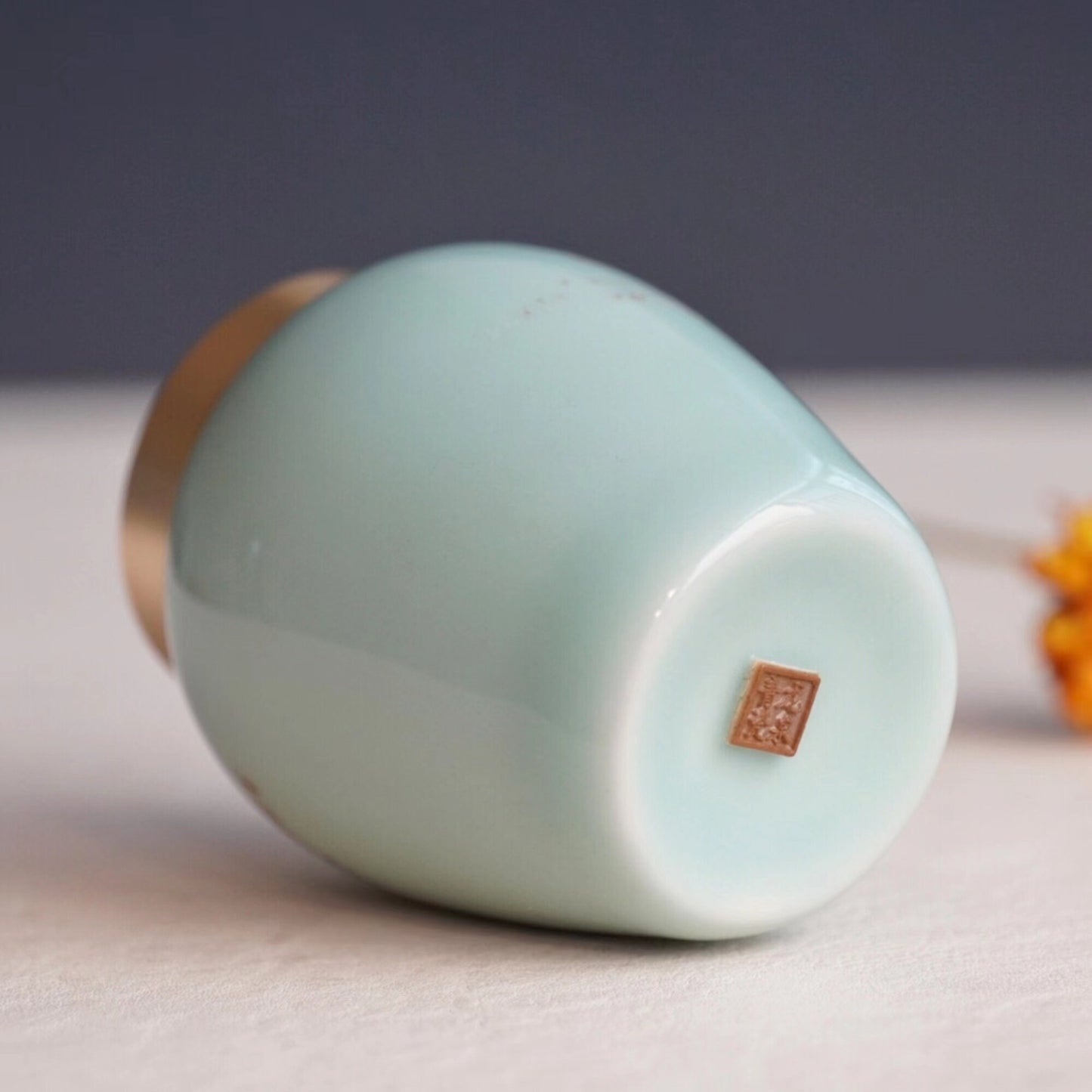 Custom  Pet Memory Urn ，Small Urn for Human，Cat ，Dog ，Modern Simple Cremation Keepsake  Up To 6Pound (8cu/in )