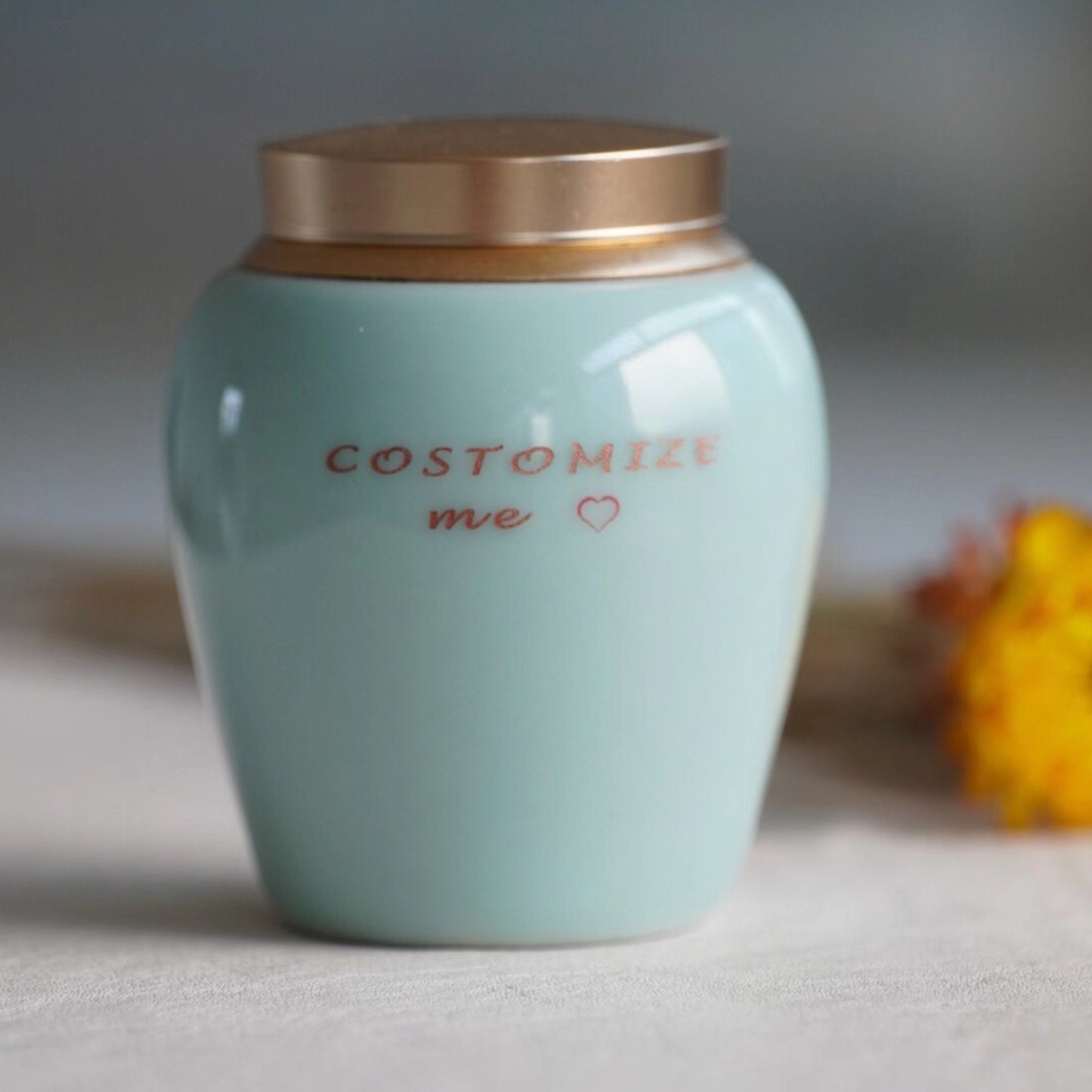 Custom  Pet Memory Urn ，Small Urn for Human，Cat ，Dog ，Modern Simple Cremation Keepsake  Up To 6Pound (8cu/in )