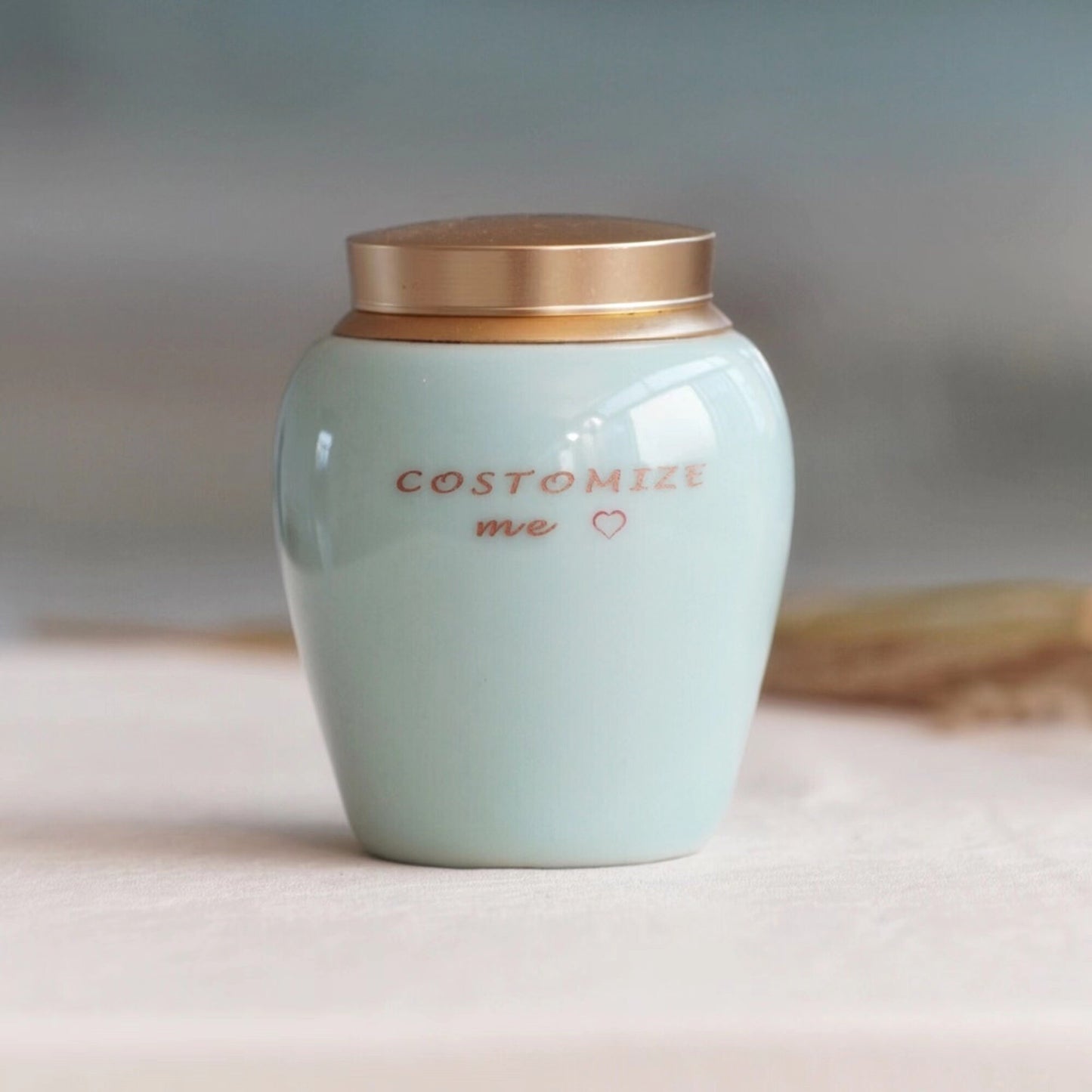 Custom  Pet Memory Urn ，Small Urn for Human，Cat ，Dog ，Modern Simple Cremation Keepsake  Up To 6Pound (8cu/in )