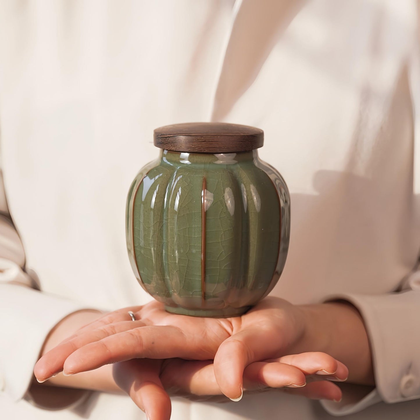 CELADON Kitchen Ceramic Canister,   Vintage Food Storage Jar for Tea，Coffee